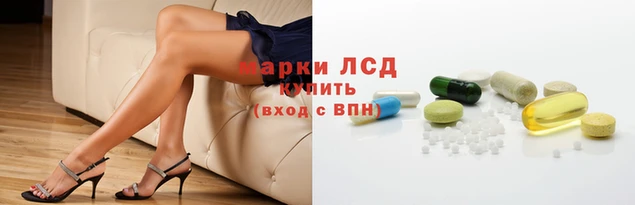 спайс Бородино