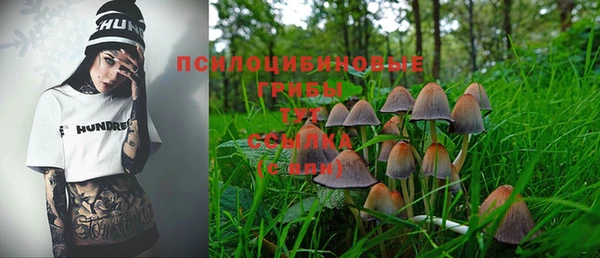 бошки Бугульма