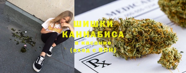 спайс Бородино