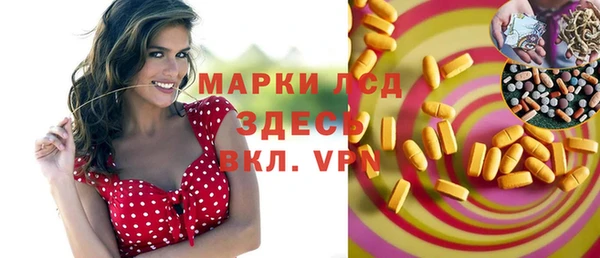 спайс Бородино